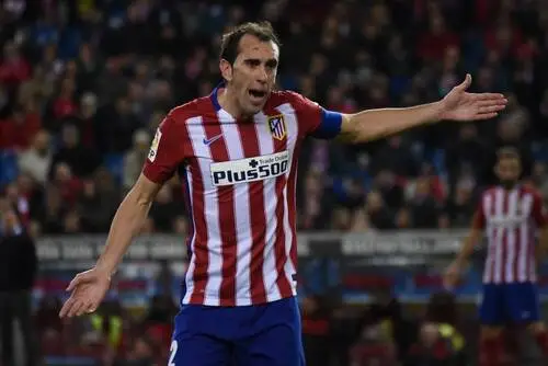 Diego Godin Wall Poster picture 671319
