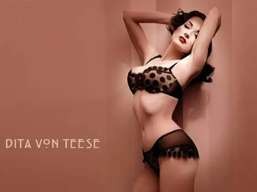Dita Von Teese Computer MousePad picture 131516