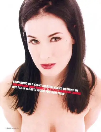 Dita Von Teese Wall Poster picture 33143