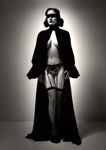 Dita Von Teese Wall Poster picture 609716