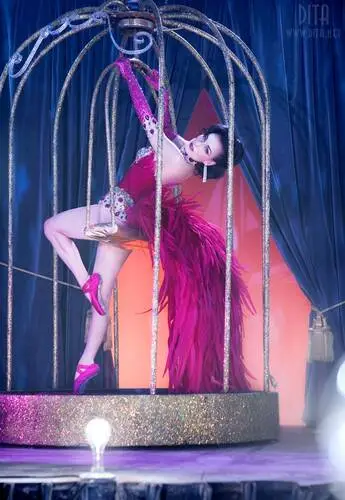 Dita Von Teese Wall Poster picture 609826