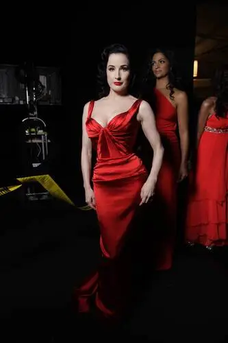 Dita Von Teese Wall Poster picture 609829