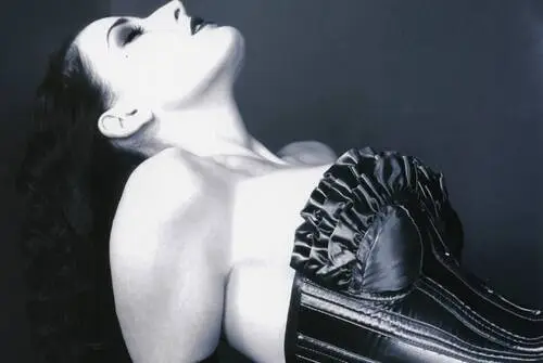Dita Von Teese Wall Poster picture 6258