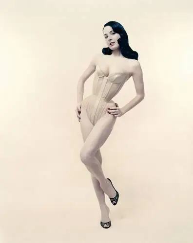 Dita Von Teese Wall Poster picture 63869