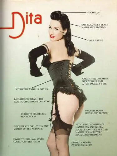 Dita Von Teese Computer MousePad picture 68810