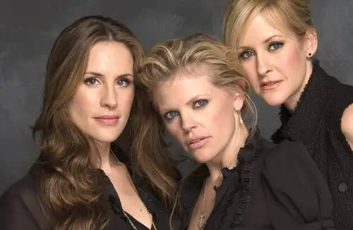 Dixie Chicks Wall Poster picture 596148