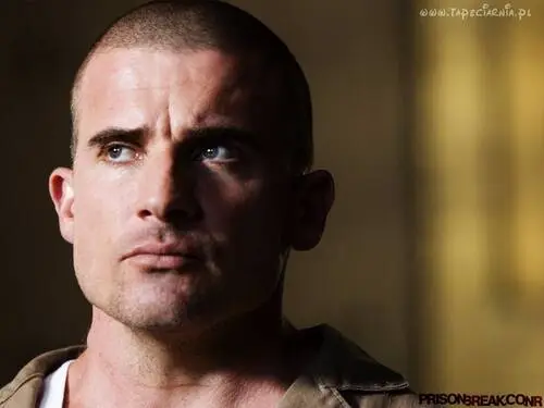 Dominic Purcell Wall Poster picture 95625
