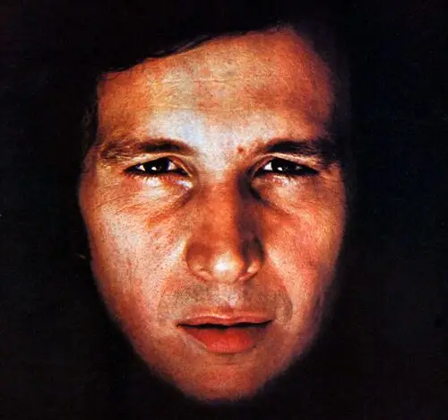 Don McLean Wall Poster picture 950971