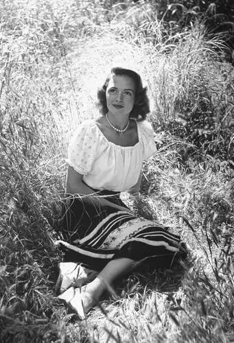 Donna Reed Image Jpg picture 930873