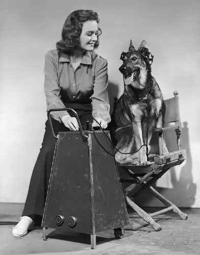Donna Reed Image Jpg picture 930891