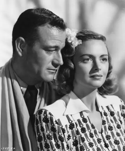 Donna Reed Wall Poster picture 930892