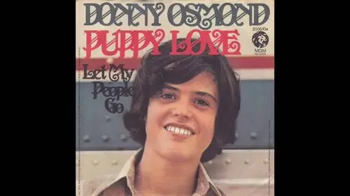 Donny Osmond Wall Poster picture 921047
