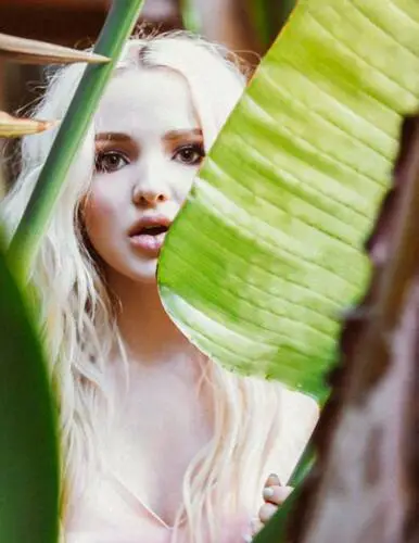 Dove Cameron Wall Poster picture 680942