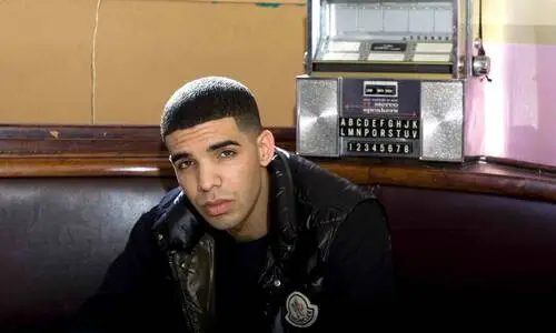 Drake Jigsaw Puzzle picture 125997
