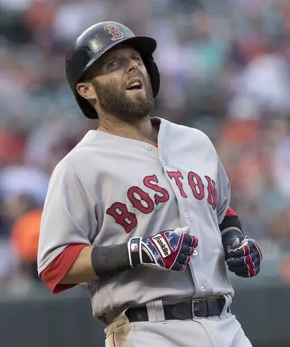 Dustin Pedroia Wall Poster picture 803833