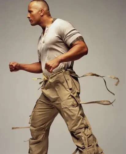 Dwayne Johnson Wall Poster picture 481394