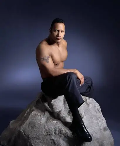 Dwayne Johnson Wall Poster picture 791377