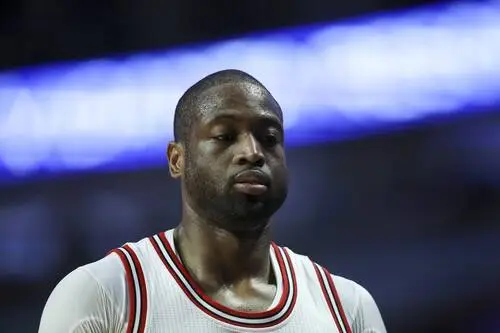 Dwyane Wade Jigsaw Puzzle picture 711585