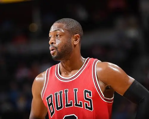 Dwyane Wade Wall Poster picture 711657