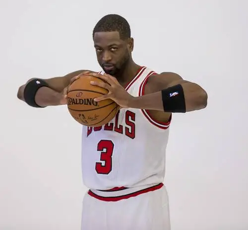 Dwyane Wade Wall Poster picture 711660