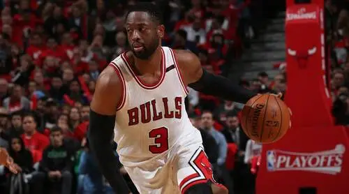 Dwyane Wade Jigsaw Puzzle picture 711676