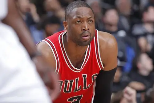 Dwyane Wade Jigsaw Puzzle picture 711689