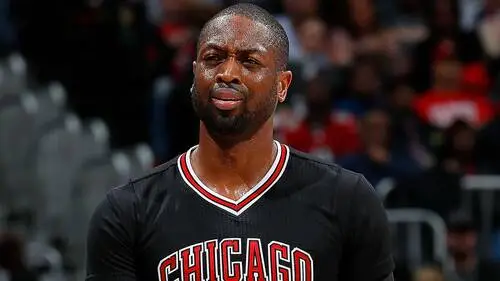 Dwyane Wade Jigsaw Puzzle picture 711691