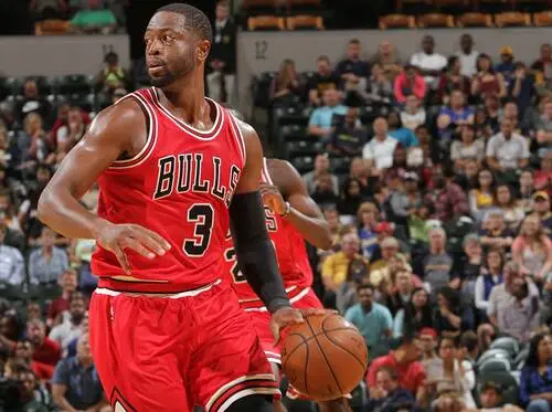Dwyane Wade Jigsaw Puzzle picture 711693