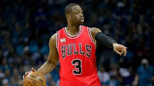 Dwyane Wade Jigsaw Puzzle picture 711695