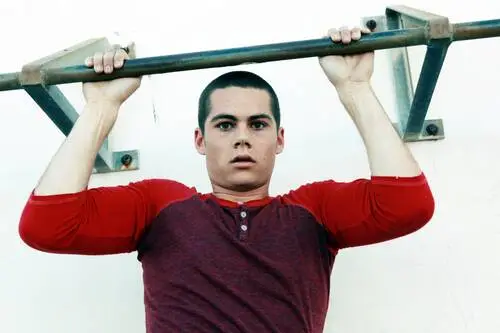Dylan O'Brien Wall Poster picture 925822