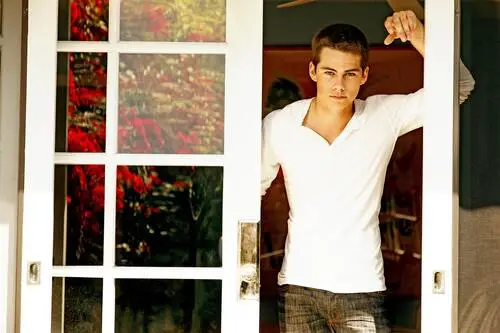 Dylan O'Brien Wall Poster picture 925948