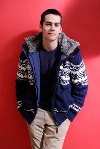 Dylan O'Brien Wall Poster picture 925953