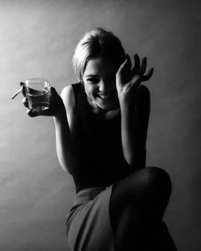 Edie Sedgwick Jigsaw Puzzle picture 110877