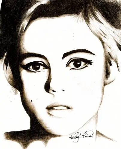 Edie Sedgwick Wall Poster picture 110878