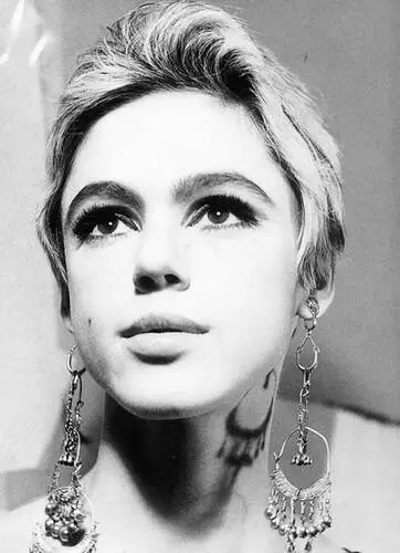 Edie Sedgwick Jigsaw Puzzle picture 167403
