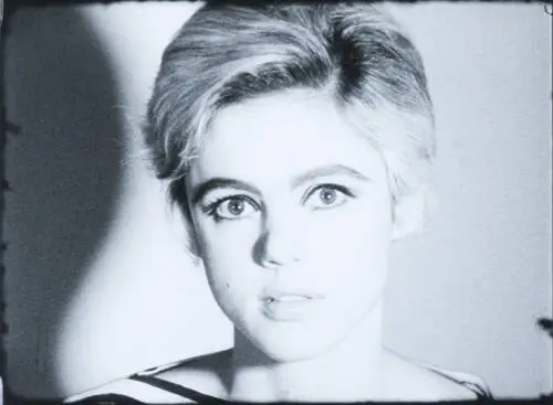 Edie Sedgwick Jigsaw Puzzle picture 95733