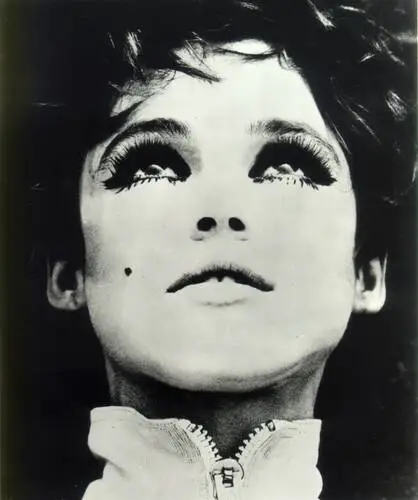 Edie Sedgwick Jigsaw Puzzle picture 95736