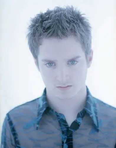 Elijah Wood Wall Poster picture 481467