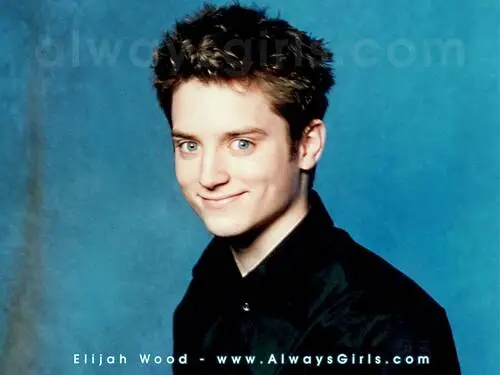 Elijah Wood Wall Poster picture 79287