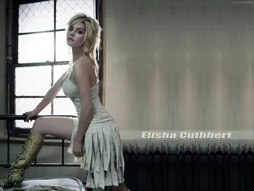 Elisha Cuthbert Wall Poster picture 133879