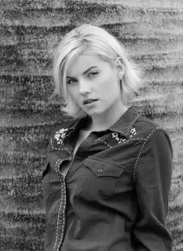 Elisha Cuthbert Wall Poster picture 612203