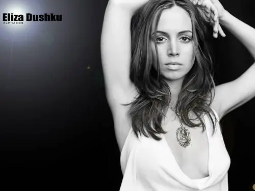Eliza Dushku Wall Poster picture 134282