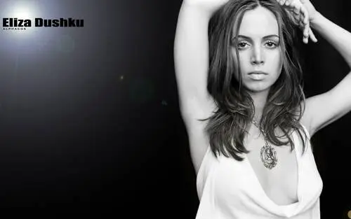 Eliza Dushku Wall Poster picture 134283