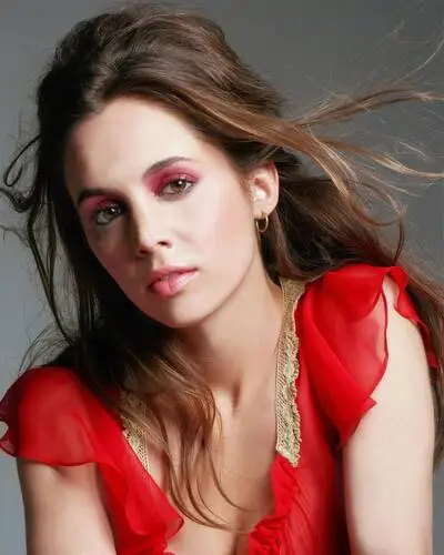 Eliza Dushku Wall Poster picture 612383