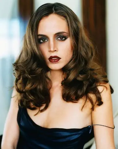 Eliza Dushku Wall Poster picture 612385