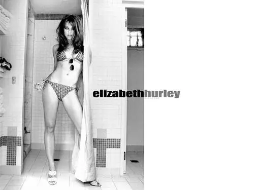 Elizabeth Hurley Wall Poster picture 134380