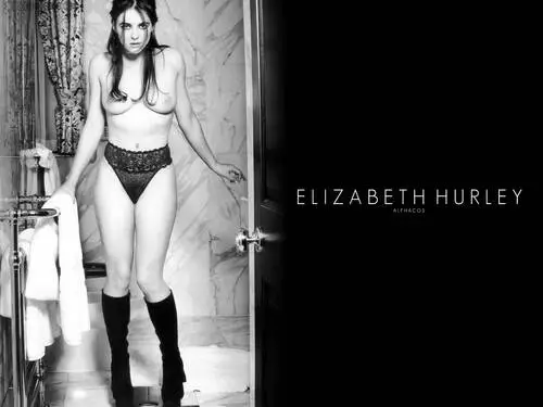 Elizabeth Hurley Wall Poster picture 134385