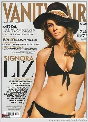 Elizabeth Hurley Wall Poster picture 73521