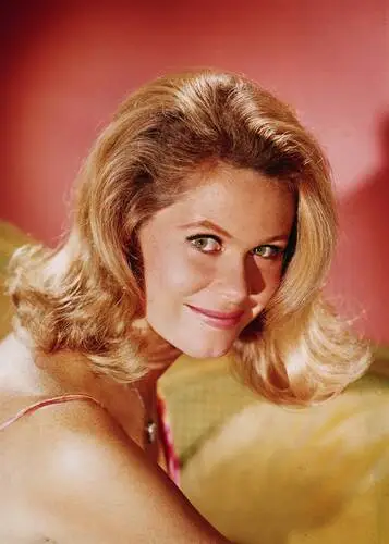 Elizabeth Montgomery Protected Face mask - idPoster.com