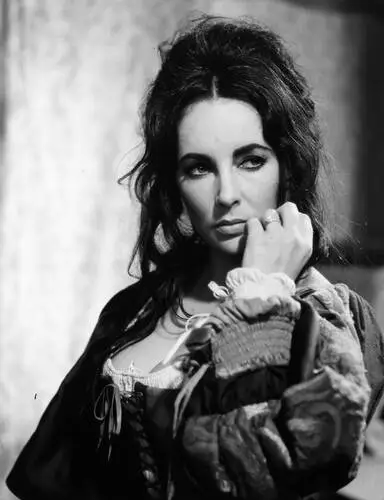 Elizabeth Taylor Wall Poster picture 21879
